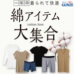 グンゼストア